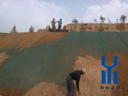 三維植被網(wǎng)http://www.mypolo.cn/