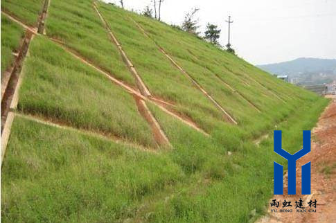 三維植被網(wǎng)http://www.mypolo.cn/